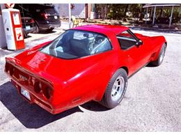 1981 Chevrolet Corvette (CC-2119611) for sale in Cadillac, Michigan