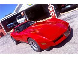 1981 Chevrolet Corvette (CC-2119611) for sale in Cadillac, Michigan