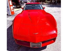 1981 Chevrolet Corvette (CC-2119611) for sale in Cadillac, Michigan