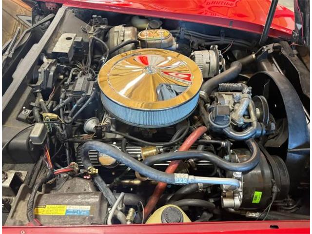 1981 Chevrolet Corvette (CC-2119611) for sale in Cadillac, Michigan
