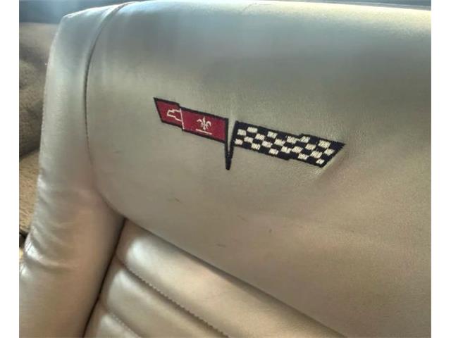 1981 Chevrolet Corvette (CC-2119611) for sale in Cadillac, Michigan