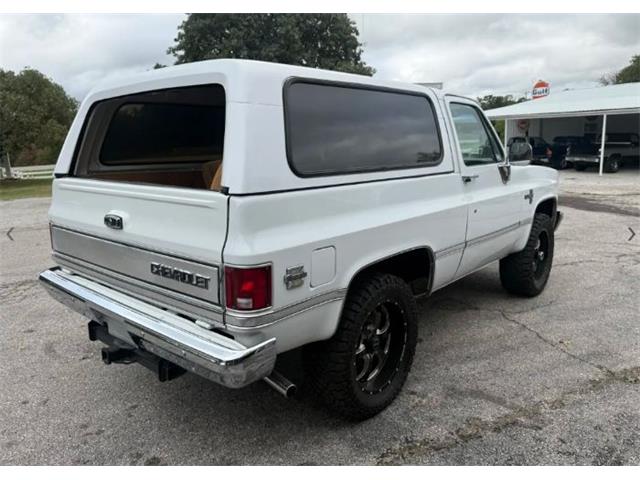 1987 Chevrolet Blazer (CC-2119617) for sale in Cadillac, Michigan