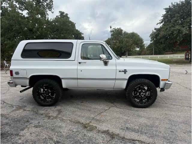 1987 Chevrolet Blazer (CC-2119617) for sale in Cadillac, Michigan