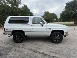 1987 Chevrolet Blazer (CC-2119617) for sale in Cadillac, Michigan