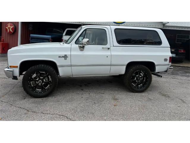 1987 Chevrolet Blazer (CC-2119617) for sale in Cadillac, Michigan