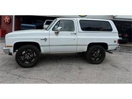 1987 Chevrolet Blazer (CC-2119617) for sale in Cadillac, Michigan