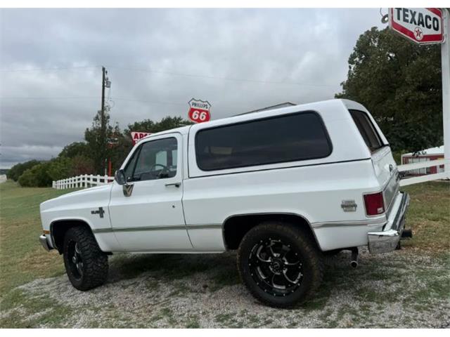 1987 Chevrolet Blazer (CC-2119617) for sale in Cadillac, Michigan