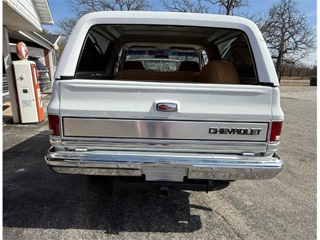 1987 Chevrolet Blazer (CC-2119617) for sale in Cadillac, Michigan