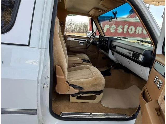 1987 Chevrolet Blazer (CC-2119617) for sale in Cadillac, Michigan
