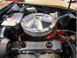 1969 Chevrolet Corvette (CC-2119671) for sale in Spring Branch, Texas