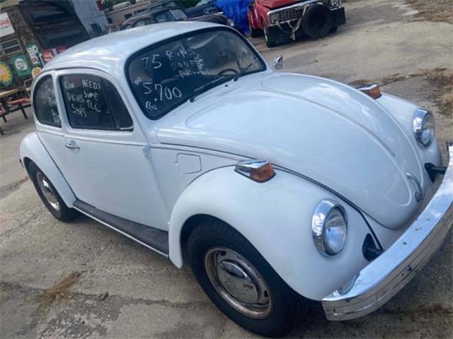 1975 Volkswagen Beetle (CC-2119687) for sale in Jackson, Michigan
