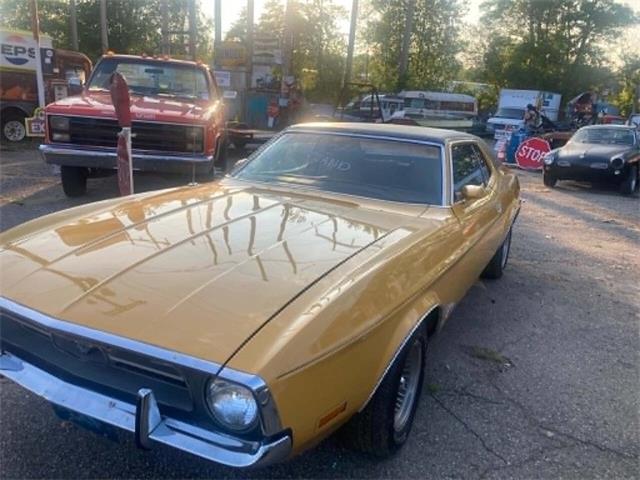1971 Ford Mustang (CC-2119688) for sale in Jackson, Michigan
