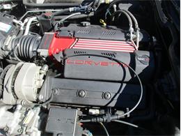 1996 Chevrolet Corvette (CC-2119789) for sale in Greensboro, North Carolina
