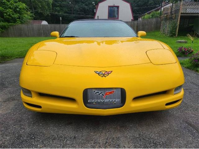 2002 Chevrolet Corvette (CC-2110098) for sale in Cadillac, Michigan