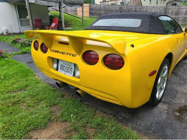 2002 Chevrolet Corvette (CC-2110098) for sale in Cadillac, Michigan