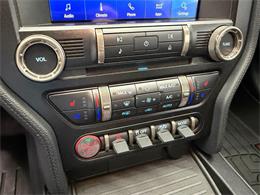 2021 Ford Mustang (CC-2119813) for sale in Brantford, Ontario