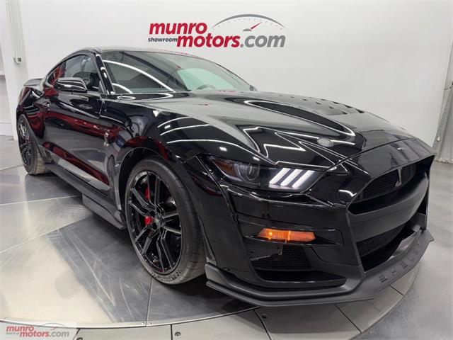 2021 Ford Mustang (CC-2119813) for sale in Brantford, Ontario