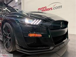 2021 Ford Mustang (CC-2119813) for sale in Brantford, Ontario