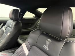 2021 Ford Mustang (CC-2119813) for sale in Brantford, Ontario