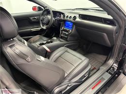 2021 Ford Mustang (CC-2119813) for sale in Brantford, Ontario