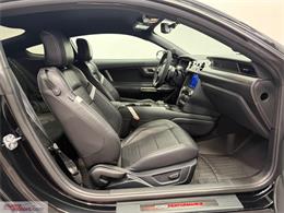 2021 Ford Mustang (CC-2119813) for sale in Brantford, Ontario