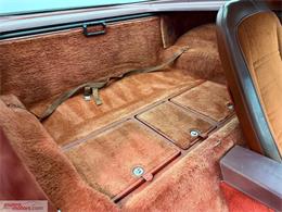 1978 Chevrolet Corvette (CC-2119861) for sale in Brantford, Ontario