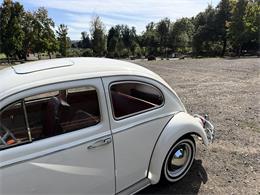 1964 Volkswagen Beetle (CC-2119888) for sale in Gladstone, Oregon