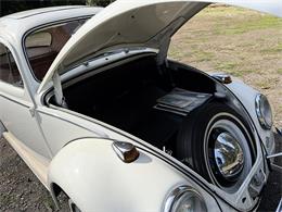 1964 Volkswagen Beetle (CC-2119888) for sale in Gladstone, Oregon