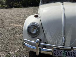 1964 Volkswagen Beetle (CC-2119888) for sale in Gladstone, Oregon