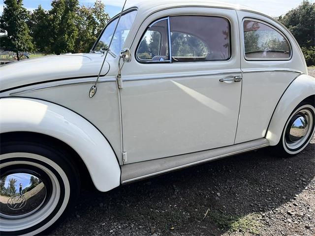 1964 Volkswagen Beetle (CC-2119888) for sale in Gladstone, Oregon
