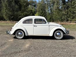 1964 Volkswagen Beetle (CC-2119888) for sale in Gladstone, Oregon