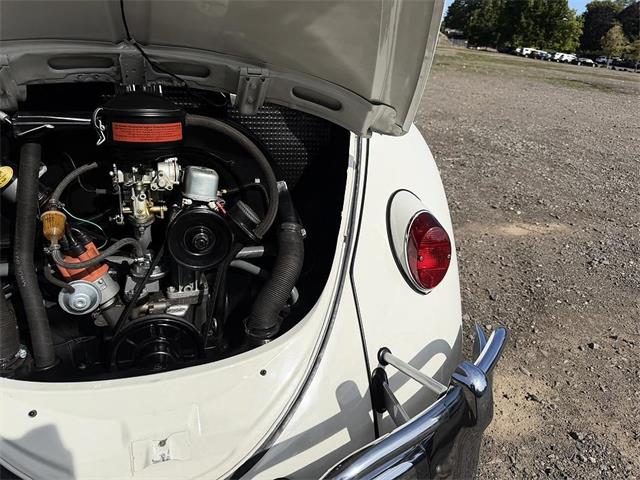 1964 Volkswagen Beetle (CC-2119888) for sale in Gladstone, Oregon