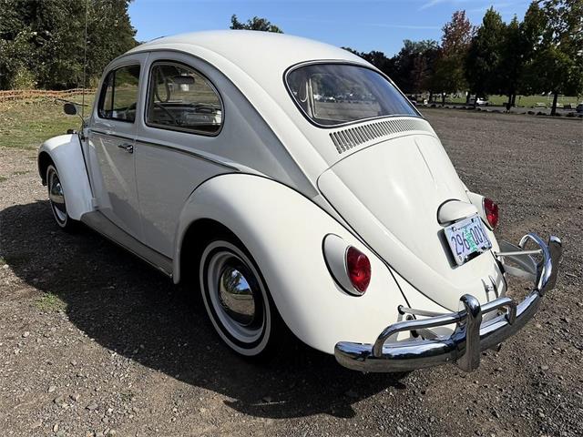 1964 Volkswagen Beetle (CC-2119888) for sale in Gladstone, Oregon
