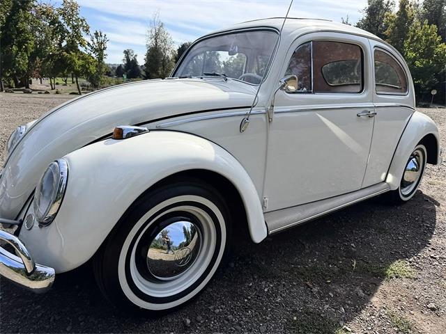 1964 Volkswagen Beetle (CC-2119888) for sale in Gladstone, Oregon
