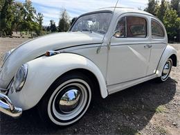 1964 Volkswagen Beetle (CC-2119888) for sale in Gladstone, Oregon