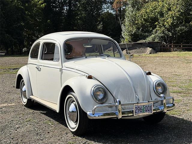 1964 Volkswagen Beetle (CC-2119888) for sale in Gladstone, Oregon