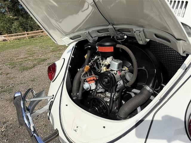 1964 Volkswagen Beetle (CC-2119888) for sale in Gladstone, Oregon