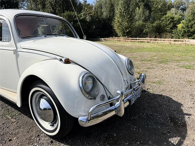 1964 Volkswagen Beetle (CC-2119888) for sale in Gladstone, Oregon