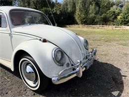 1964 Volkswagen Beetle (CC-2119888) for sale in Gladstone, Oregon