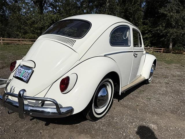 1964 Volkswagen Beetle (CC-2119888) for sale in Gladstone, Oregon