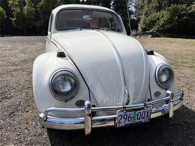 1964 Volkswagen Beetle (CC-2119888) for sale in Gladstone, Oregon