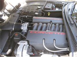 1998 Chevrolet Corvette (CC-2110099) for sale in Cadillac, Michigan