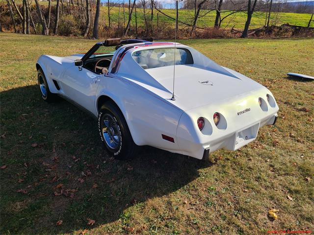 1977 Chevrolet Corvette (CC-2119907) for sale in MARTINSBURG, Pennsylvania