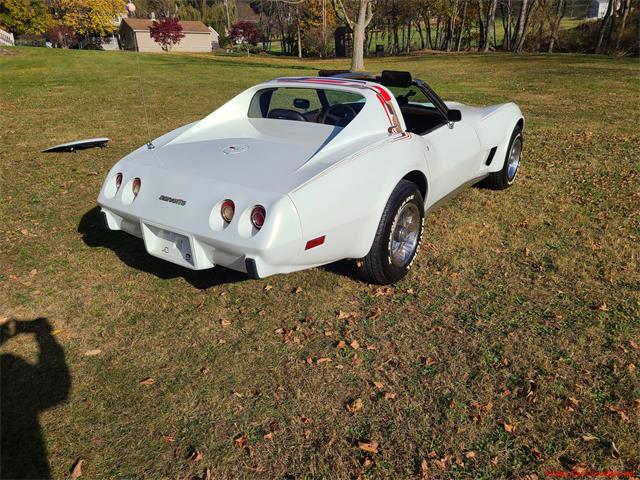 1977 Chevrolet Corvette (CC-2119907) for sale in MARTINSBURG, Pennsylvania