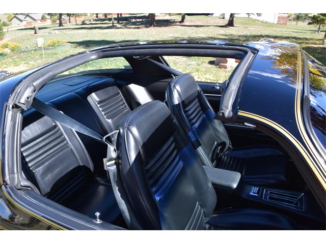1979 Pontiac Firebird Trans Am (CC-2119911) for sale in Divide, Colorado