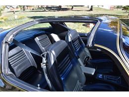 1979 Pontiac Firebird Trans Am (CC-2119911) for sale in Divide, Colorado