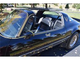 1979 Pontiac Firebird Trans Am (CC-2119911) for sale in Divide, Colorado