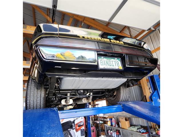 1979 Pontiac Firebird Trans Am (CC-2119911) for sale in Divide, Colorado