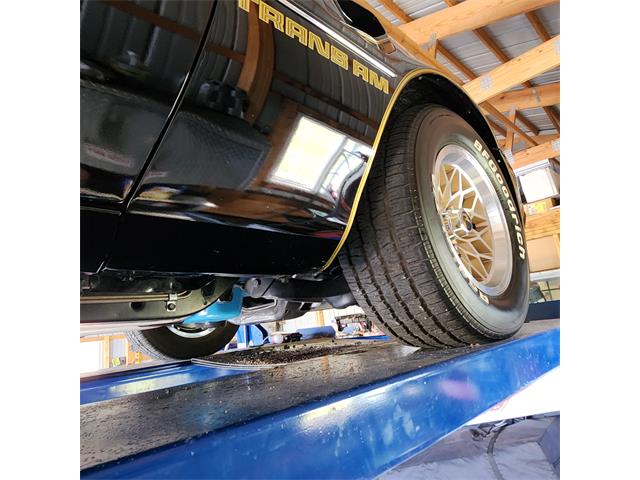 1979 Pontiac Firebird Trans Am (CC-2119911) for sale in Divide, Colorado