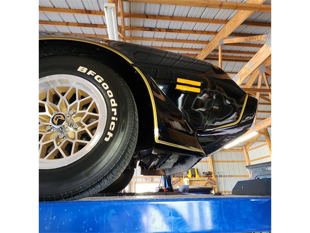 1979 Pontiac Firebird Trans Am (CC-2119911) for sale in Divide, Colorado